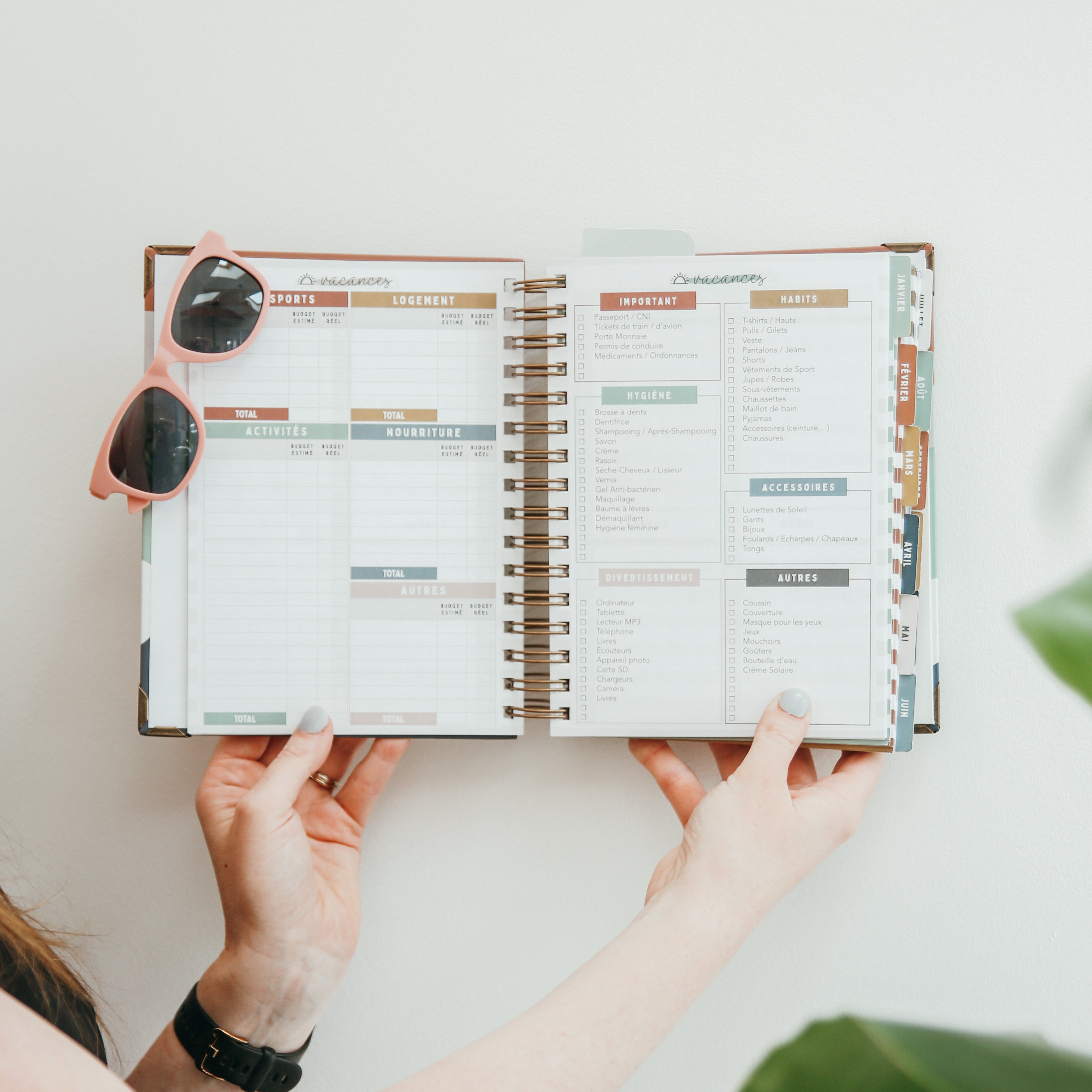 Agenda Version Deluxe